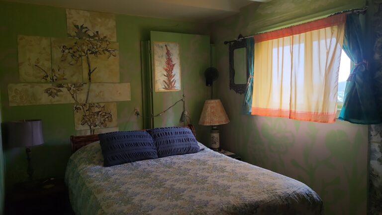 Queen bed with blue accented bedding sits underneath original local flora and fauna paintings in soft colors